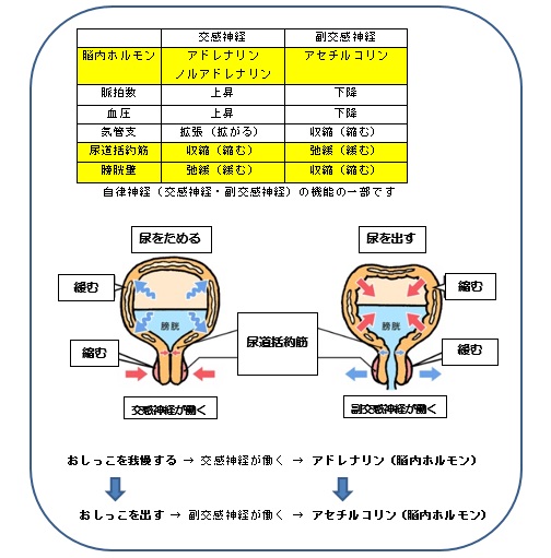 じょー~1